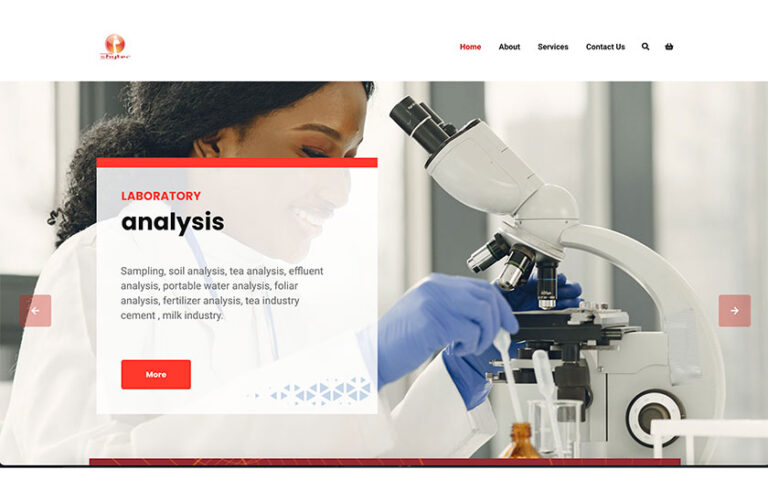 skyteclimited website design